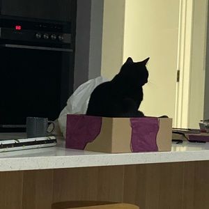 Meet your Posher, Paula